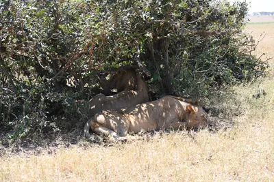 DSC_3549 (Large).JPG